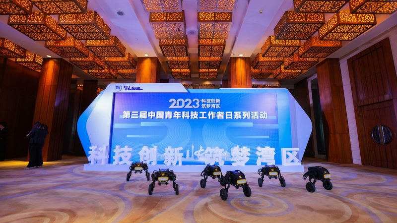 科技服务项目招标报价方案：为什么低价未必是赢家